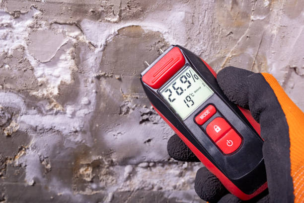 Best Mold Damage Repair  in Villa Park, CA