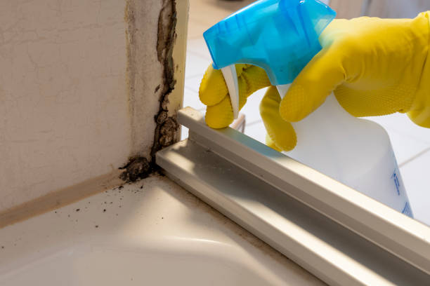 Best Mold Testing  in Villa Park, CA