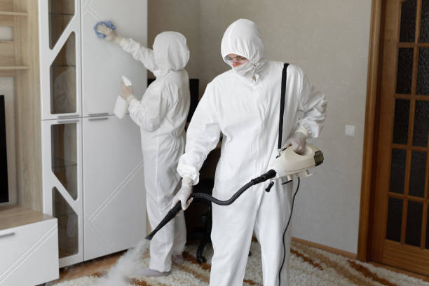 Best Mold Removal Process  in Villa Park, CA