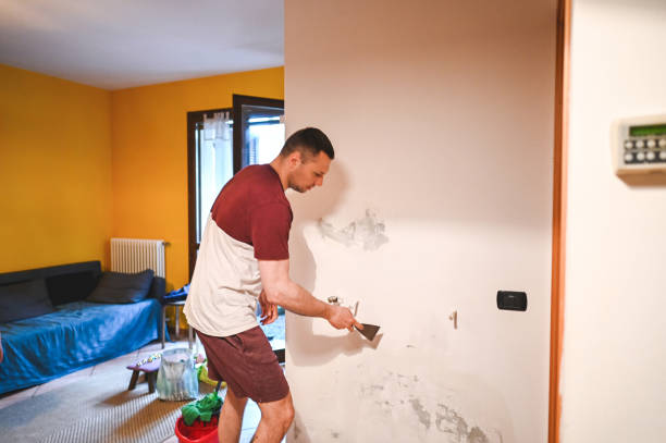 Best Home Mold Removal  in Villa Park, CA