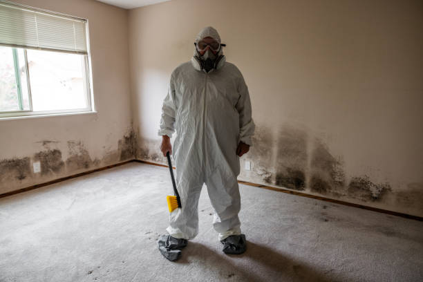 Best Mold Testing and Removal  in Villa Park, CA